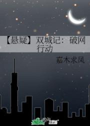 【悬疑】双城记：破网行动