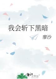 我会斩下黑暗