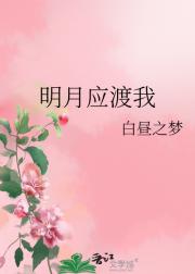 明月应渡我