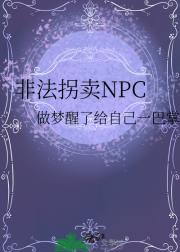 非法拐卖NPC