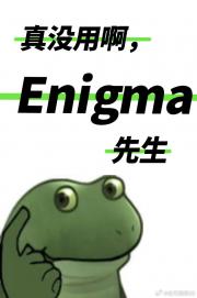 真没用啊，Enigma先生