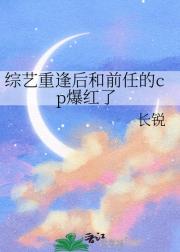 综艺重逢后和前任的cp爆红了