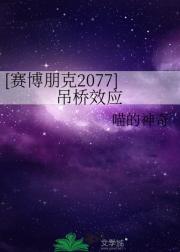 赛博朋克2077·吊桥效应