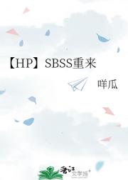 【HP】SBSS重来