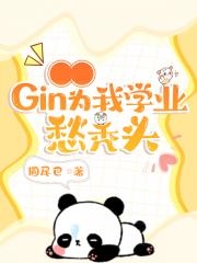 Gin为我学业愁秃头