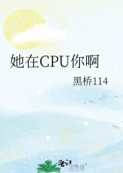 她在CPU你啊