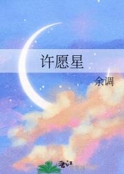 许愿星