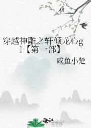 穿越神雕之轩倾龙心gl