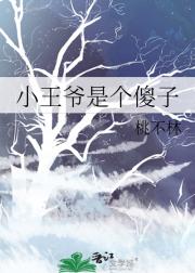 小王爷是个傻子