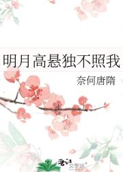 明月高悬独不照我