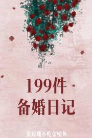 199件备婚日记