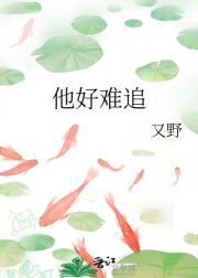 他好难追