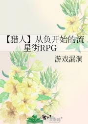 【猎人】从负开始的流星街RPG