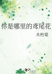 我在镜中仰望你