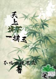 天上掉下一块玉