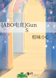 [ABO电竞]GunS