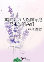 （哨向）万人迷向导逃离她的哨兵们