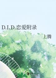 D.I.D.恋爱附录