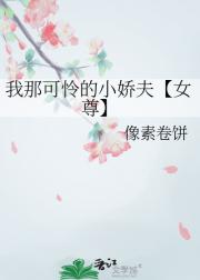 我那可怜的小娇夫【女尊】