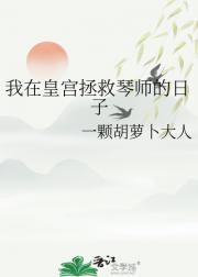 琴师