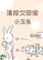 清穿之小玉兔是团宠