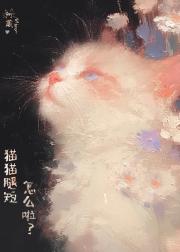 猫猫腿短怎么啦