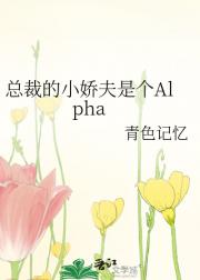 总裁的小娇夫是个Alpha