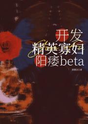 极致开发精英寡妇beta