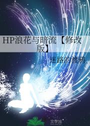 HP浪花与暗流【修改版】