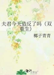 夫君今天造反了吗（双重生）