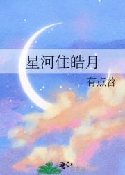 星河住皓月