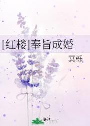 [红楼]奉旨成婚