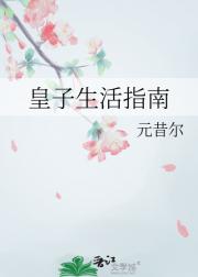 皇子生活指南