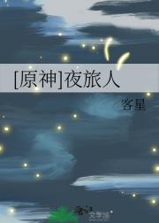 [原神]夜旅人