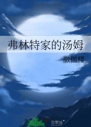 弗林特家的汤姆