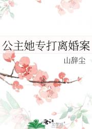 公主她专打离婚案