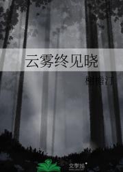 云雾终见晓