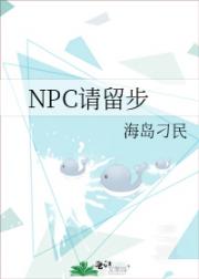 NPC请留步