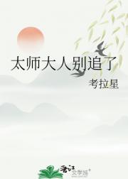 太师大人别追了