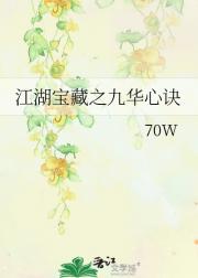 江湖宝藏之九华心诀