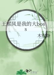 王熙凤是我的大boss