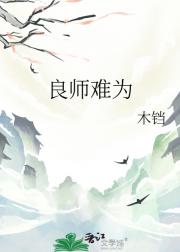 良师难为