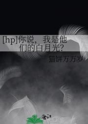 【hp】你说，我是他们的白月光？