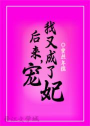 后来，我又成了宠妃