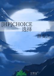 [HP]CHOICE选择