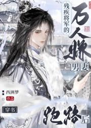 战损将军厌恶的万人嫌男妻[穿书]