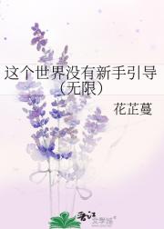 这个世界没有新手引导（无限）