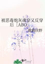 被恶毒炮灰魂穿又反穿后［ABO］