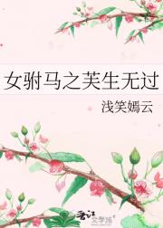 女驸马之芙生无过