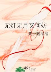 无灯无月又何妨